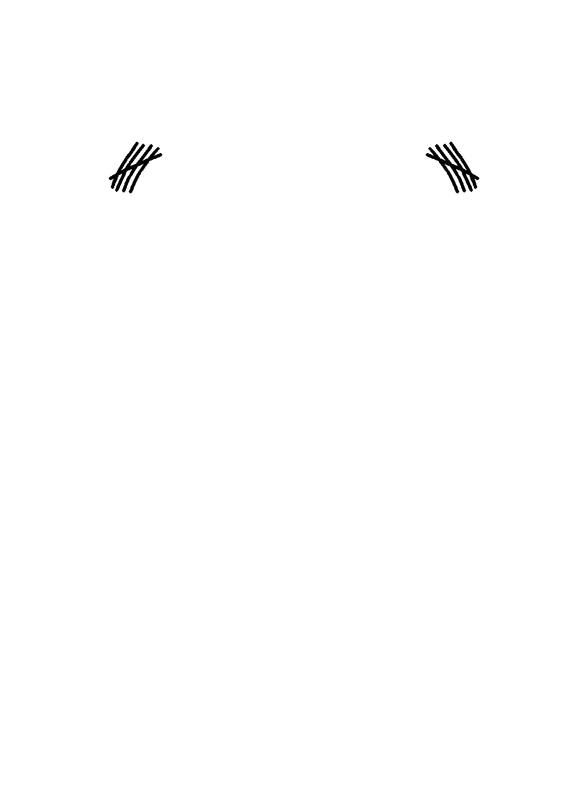 35_tro-bar
